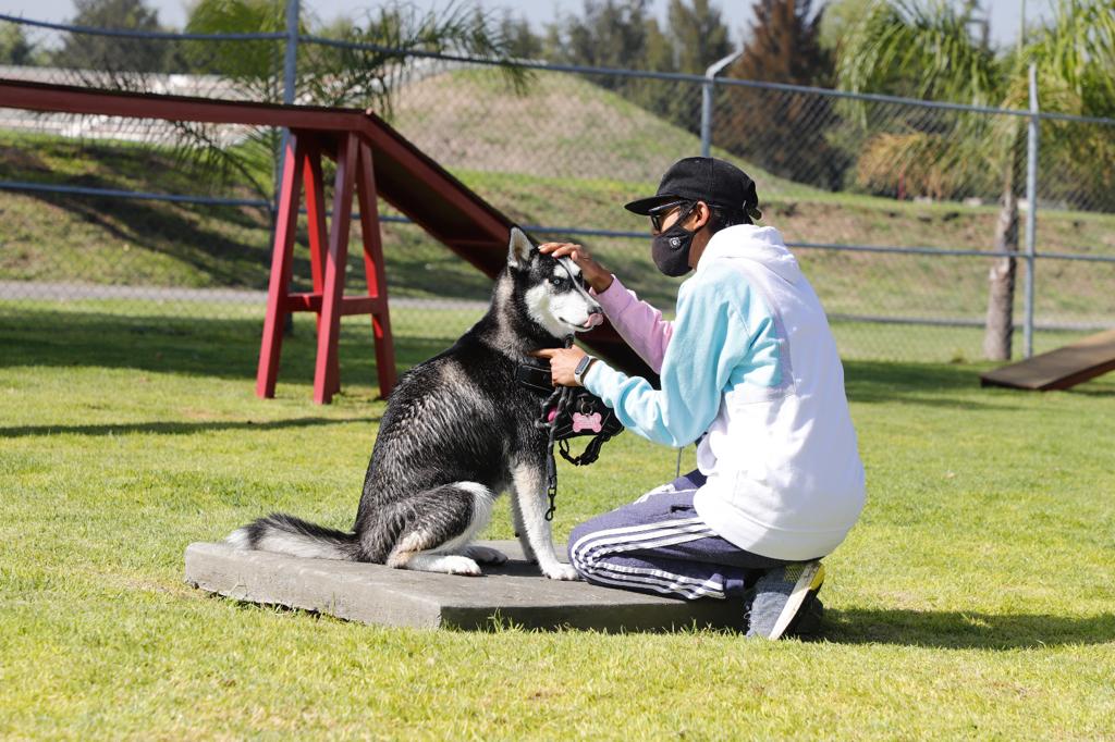 Protección Civil de Tecámac Recomienda Cuidar a las Mascotas de las Altas Temperaturas; Pueden Sufrir Golpe de Calor