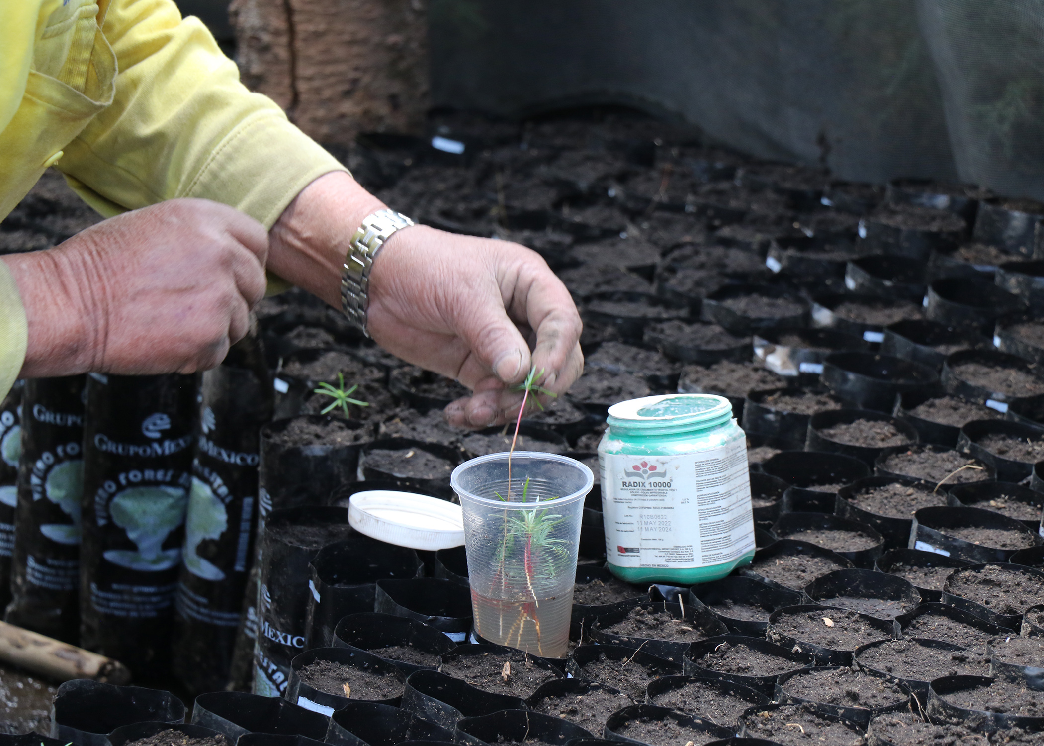  IMPARTE HUIXQUILUCAN TALLERES PARA LA CREACIÓN DE HUERTOS FAMILIARES