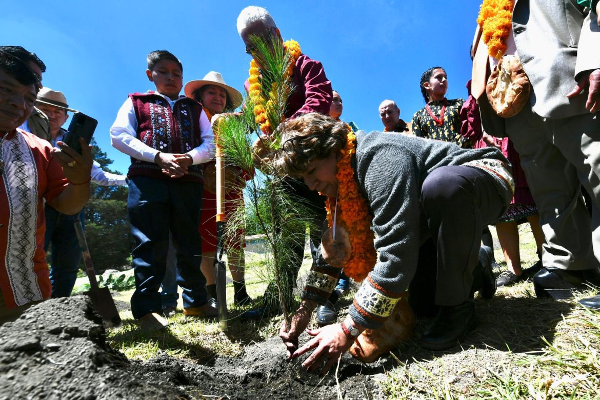 Lanza Gobernadora Delfina Gómez gran programa de reforestación en el Estado de México; “será el pulmón del país”
