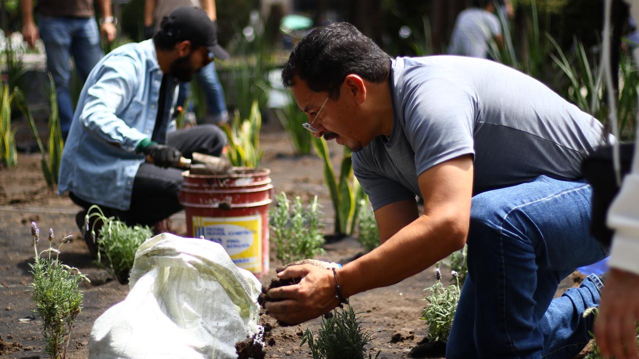 HUIXQUILUCAN REFORESTA PARQUES PARA PRESERVAR EL MEDIO AMBIENTE