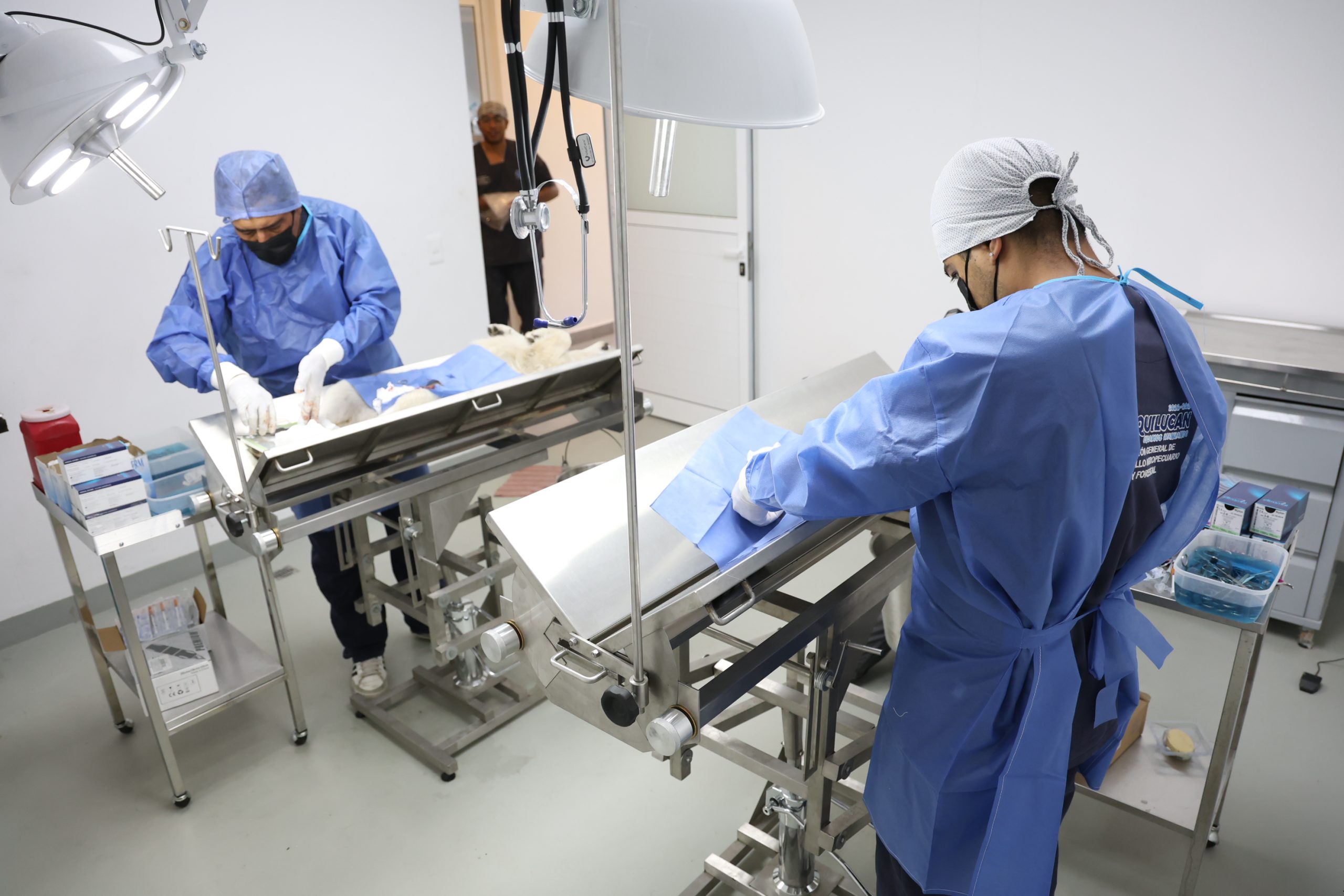 REALIZA HUIXQUILUCAN ESTERILIZACIÓN DE PERROS Y GATOS PARA SU PROTECCIÓN Y EVITAR PROBLEMAS DE SALUD PÚBLICA 