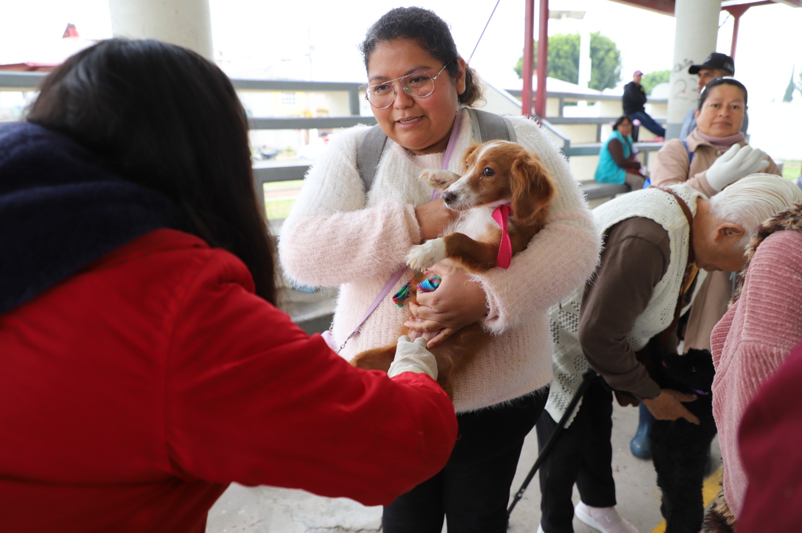 Continuará Gobierno de Tecámac con el Programa de Esterilizaciones de Mascotas