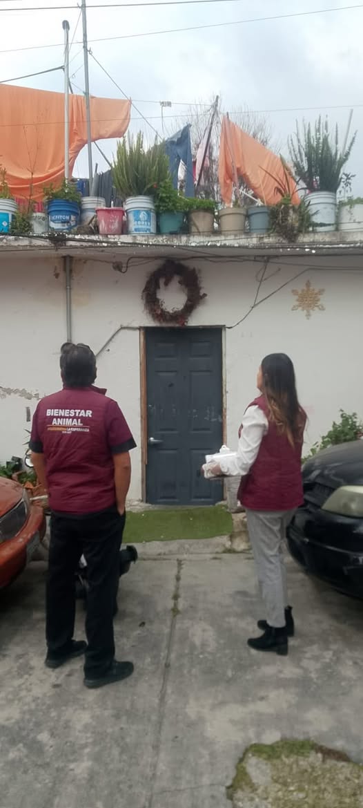 GOBIERNO DE NAUCALPAN ATIENDE REPORTES CIUDADANOS Y RESCATA A PERRITA EN SITUACIÓN DE MALTRATO