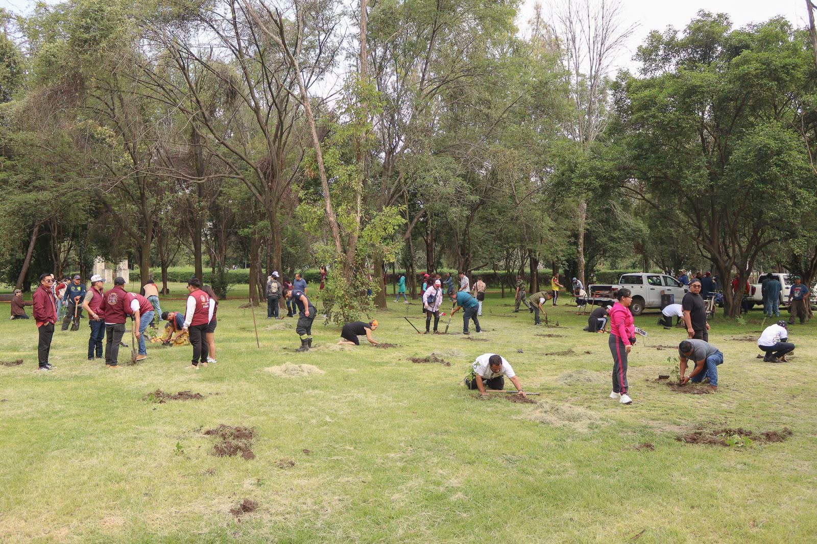 NAUCALPAN PARTICIPA EN LA JORNADA NACIONAL DE REFORESTACIÓN 2026