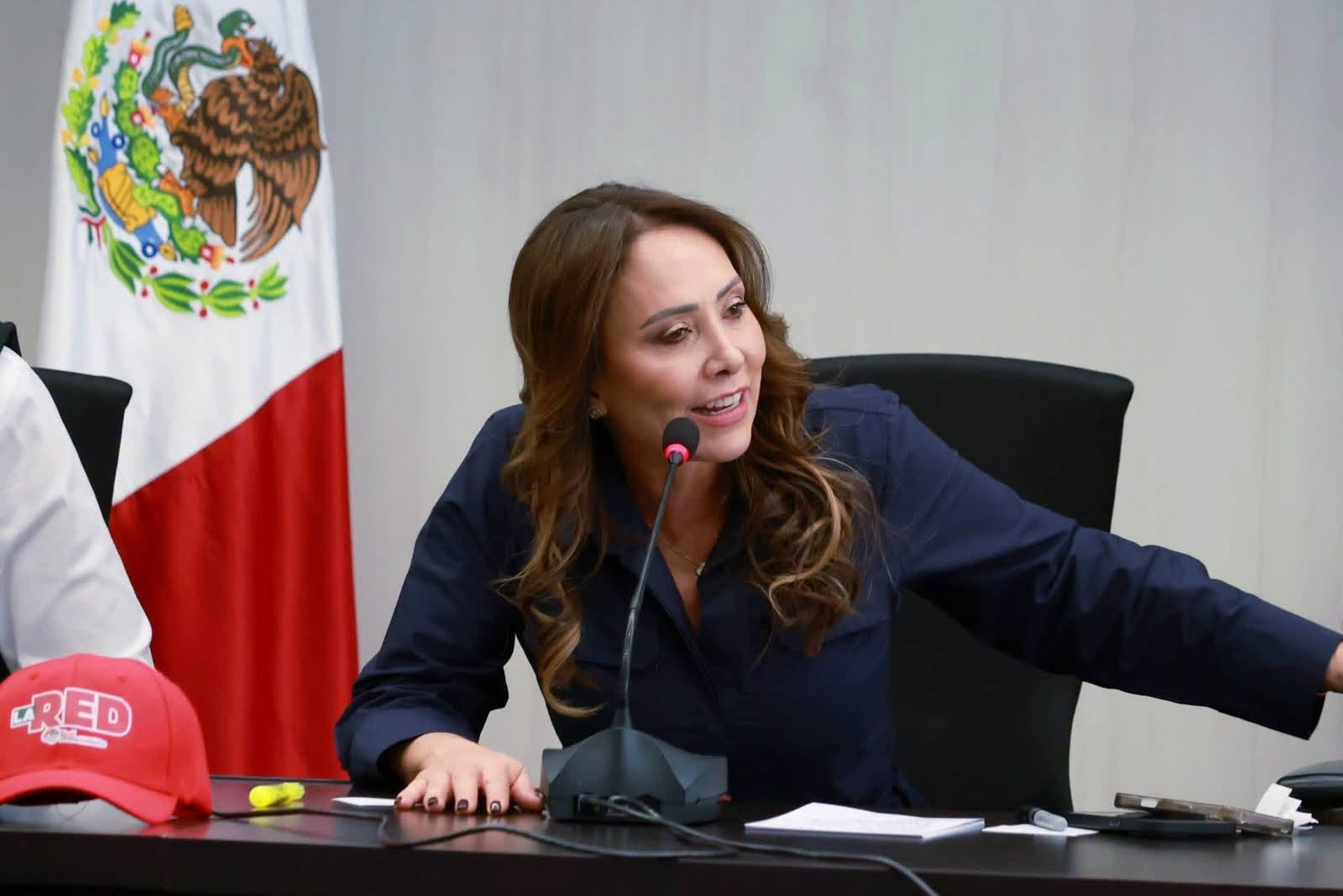 ROCHA MOYA ES EL ROSTRO DE MORENA